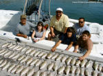 White Bass Fishing
