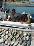 White Bass Fishing